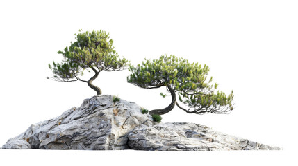 Scenic view of small trees growing on rugged rocks, showcasing nature's resilience and beauty in a minimalist design.