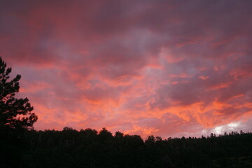 Brilliant red and and blue sunset over trees