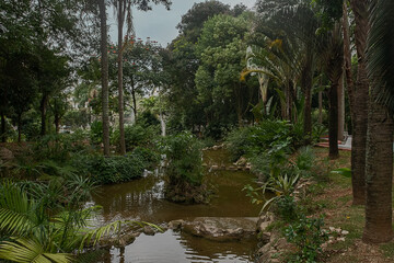 Obraz premium a landscape found in the park