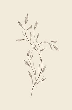 Twig with leaves