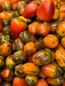 Palm fruit in the Colombian Pacific - Chontaduro