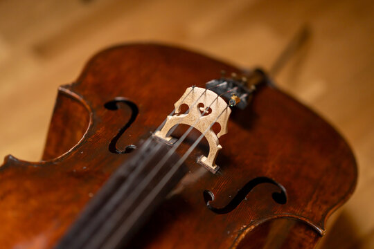 Violoncello