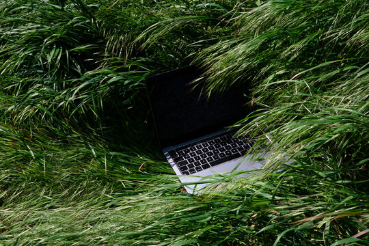 Computer in grass