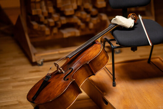 Violoncello