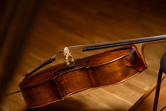 Violoncello