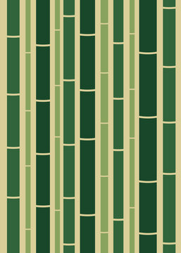 Bamboo forest.