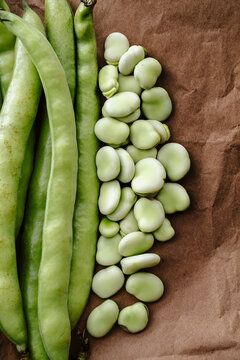 Broad bean