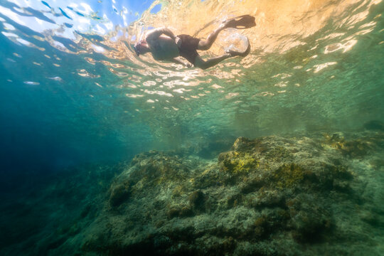 Man Snorkeling in Caribbean Ocean Norman Island BVI