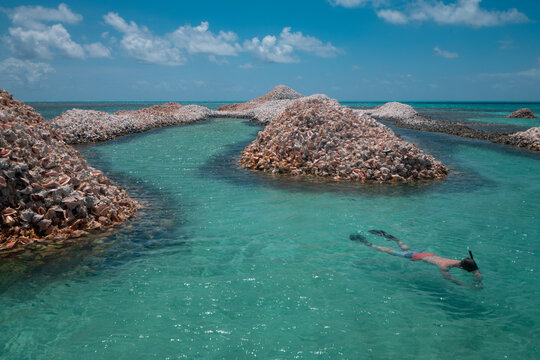Man Snorkeling at Conch Island Anegada BVI on Caribbean Vacation