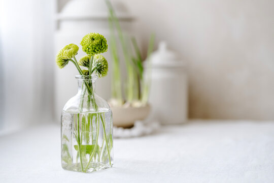 Green santini