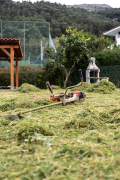 Electric lawn trimmer on grass.