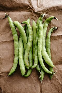 Broad bean