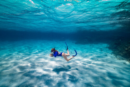 Woman Diving with Caribbean Queen Conch Anegada BVI
