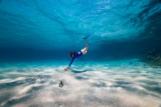 Woman Diving for Caribbean Queen Conch Anegada BVI
