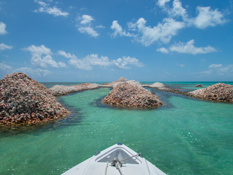 Piles of Caribbean Queen Conch Seashells Anegada BVI