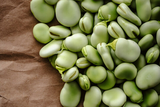 Broad bean