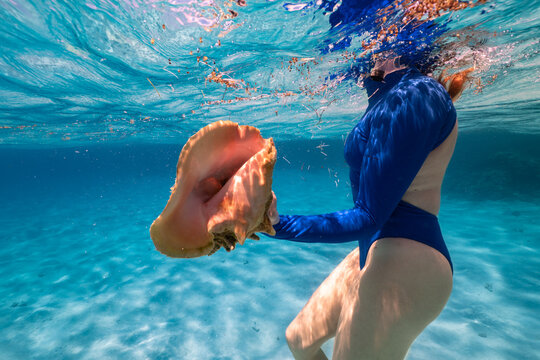 Woman Snorkeling with Caribbean Queen Conch Anegada BVI