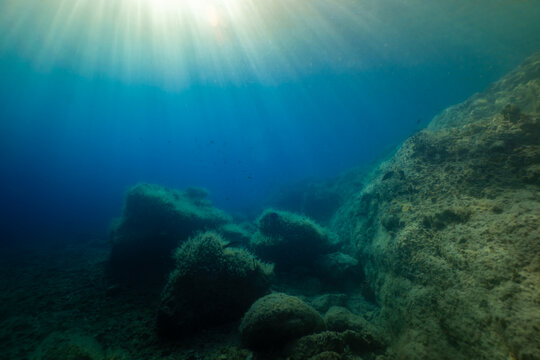 Underwater Reef Caribbean Ocean Norman Island BVI