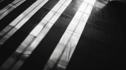 Sunlight shining through window, casting lines on tiled floor. Black and white contrast creates striking pattern, adding modern graphic element to interior space