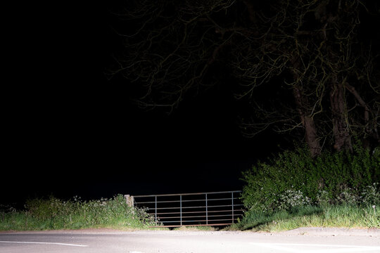 A gate on the side of the road at night