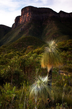 Bluff Knoll Stirling Ranges Western Australia