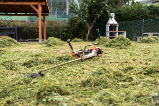 Lawn trimmer on grass outdoors.