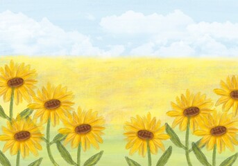 sunflower in summer background 