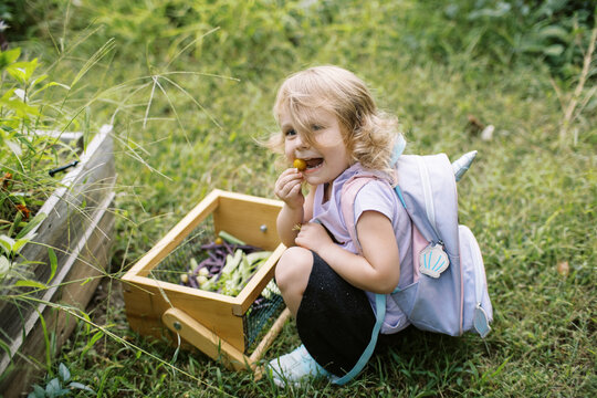 little girl gardening in her backyard in summer
