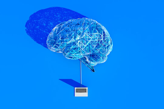 Computer-generated human brain illustration