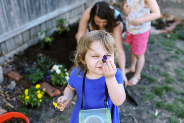 family gardening together in yard in spring