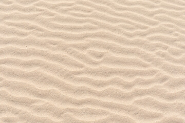 Rippled sand on a sand dune.