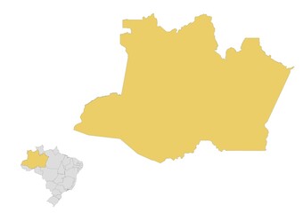Mapa del estado de Amazonas en Brasil © Stockchi