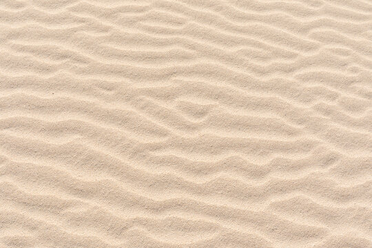 Rippled sand on a sand dune.