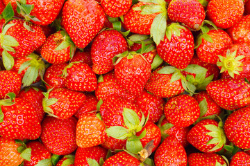 close up of many strawberries as a background isolated