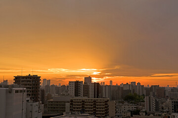 夕日が街に沈む