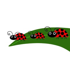 Ladybug,ArtLadybug,CraftsLadybug,Baby Ladybug,Ladybug Cartoon,Ladybug Vector,ladybug drawing,bug character vector,ladybug icon cute,ladybug illustration,dragonfly,Animated Vector Illustration,Ladybug 