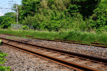 Fototapeta premium 田舎の線路