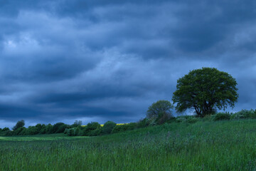 Storm clouds on a spring evening over a field with grass and trees near Lohnsfeld, Germany.