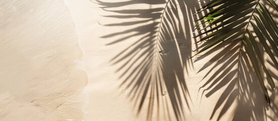 Obraz premium Bird's eye view of palm leaf shadow on sandy beach with space for text