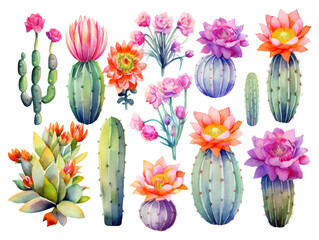 Watercolor cactus with flowers illustration set isolated background