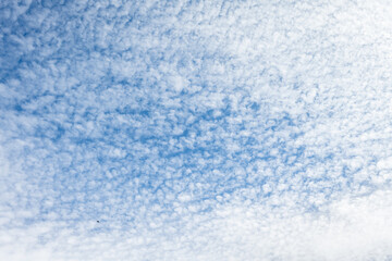 Beautiful blue sky with high Cirrocumulus white clouds, textured nature background
