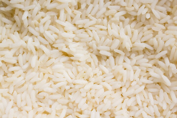 Close-Up Photograph of White Rice