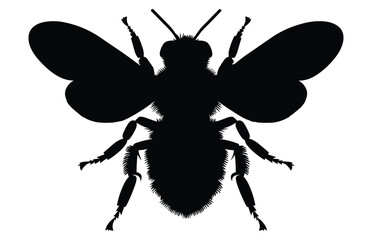 Bee Silhouette isolated black on white background Vector Illustration, Honey Bee Icon, Honey bee insect silhouette.