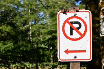 No parking sign with left hand arrow in campground.