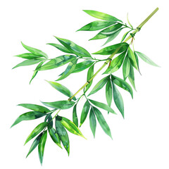 Obraz premium Watercolor illustration of green bamboo leaves on a branch, showcasing natural beauty and botanical design.