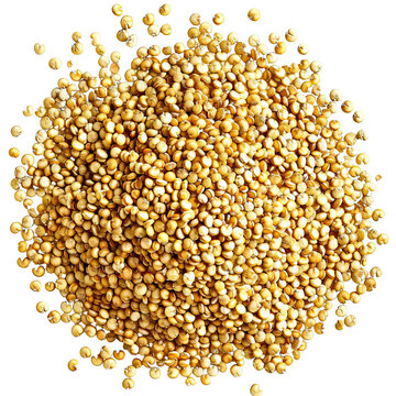 A pile of golden quinoa seeds isolated on a transparent background.
