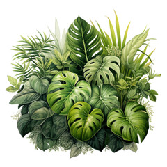 Obraz premium A watercolor painting of a variety of tropical plants, including monstera, ferns, and palm leaves, arranged in a lush, vibrant display