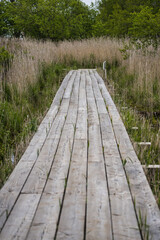 Fototapeta premium Hokkaido,Japan - June 6, 2024: Yachibouzu Boardwalk at Kiritappu Wetland in Hokkaido