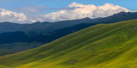 Fototapeta premium Picturesque high mountain plateau in southeast Kazakhstan on a cloudy summer day