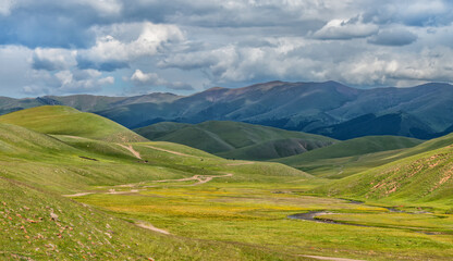 Fototapeta premium Picturesque high mountain plateau in southeast Kazakhstan on a cloudy summer day